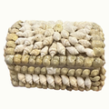 Shell Box No. 3