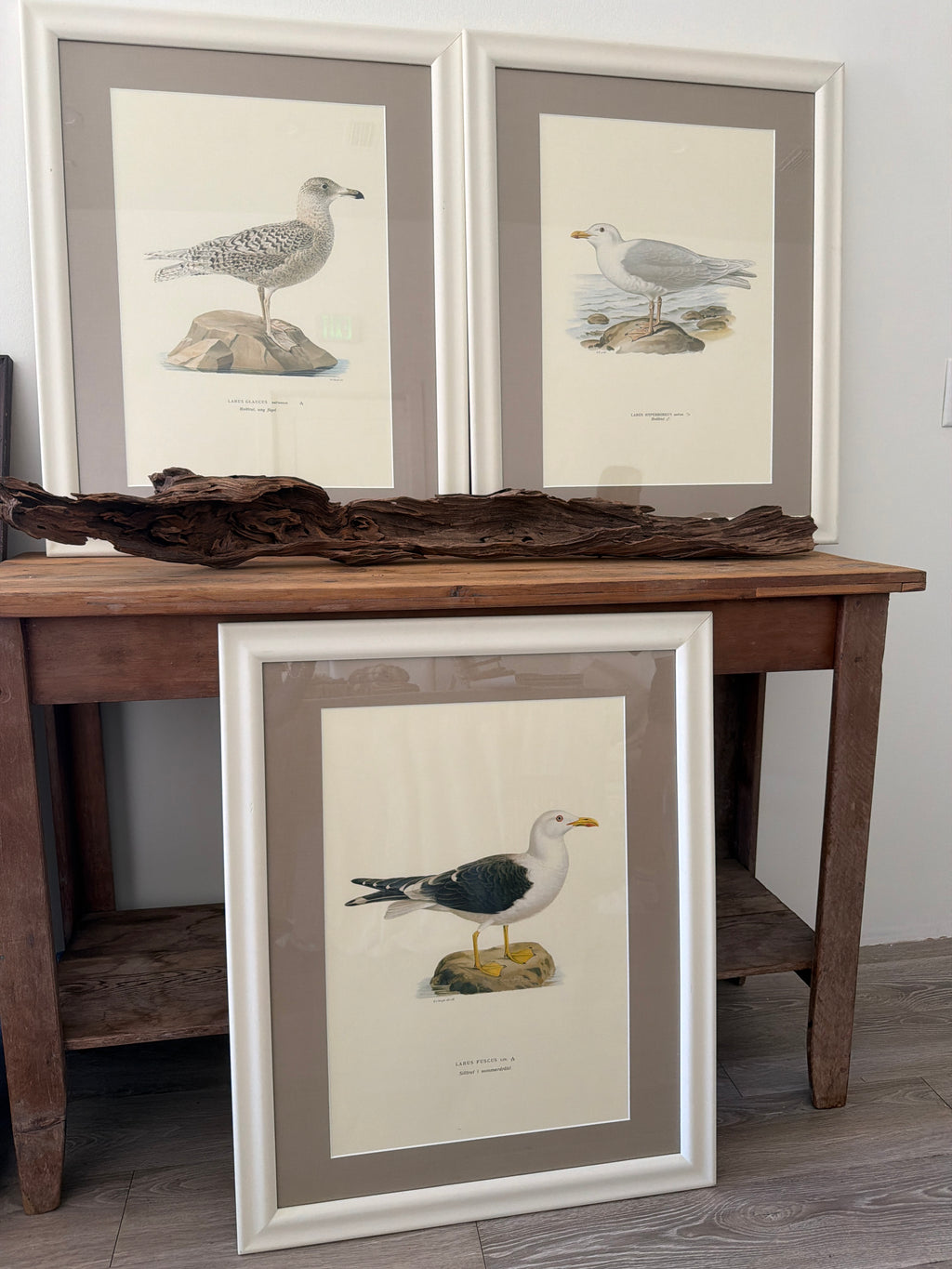 Vintage trio of birds