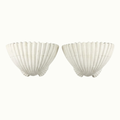 Pair of Scalloped Shell Sconces