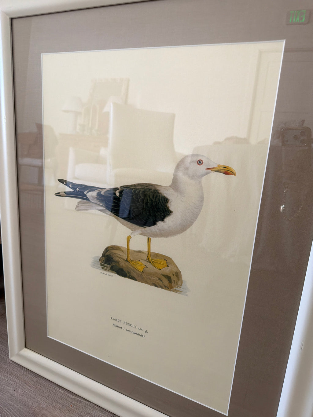 Vintage trio of birds