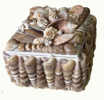 Shell Box No. 5